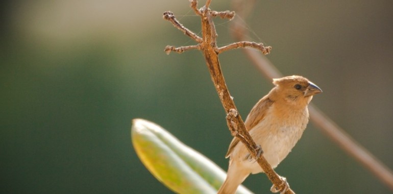 Sed ut perspiciatis iste natus iste natus