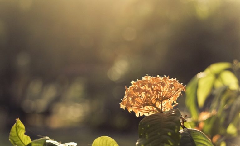 Laudantium, totam rem aperiam eaque ipsa