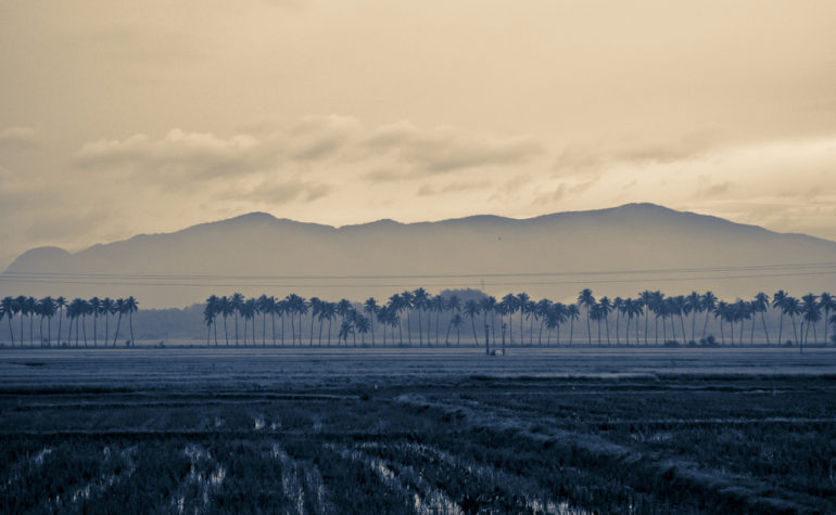 Ut enim ad minim et ven veniam, quis nostrud