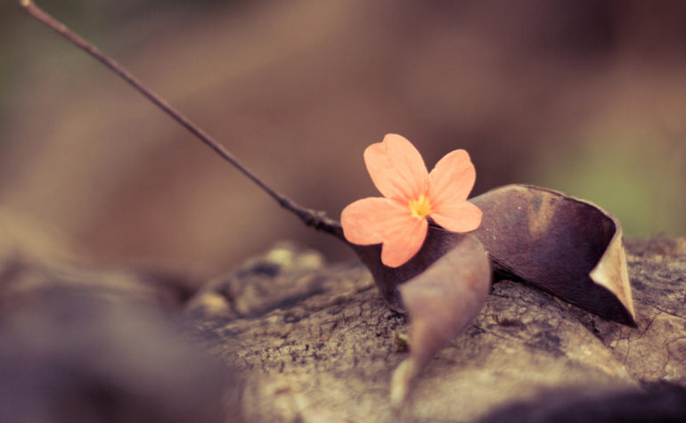 Sed ut perspiciatis iste natus iste natus